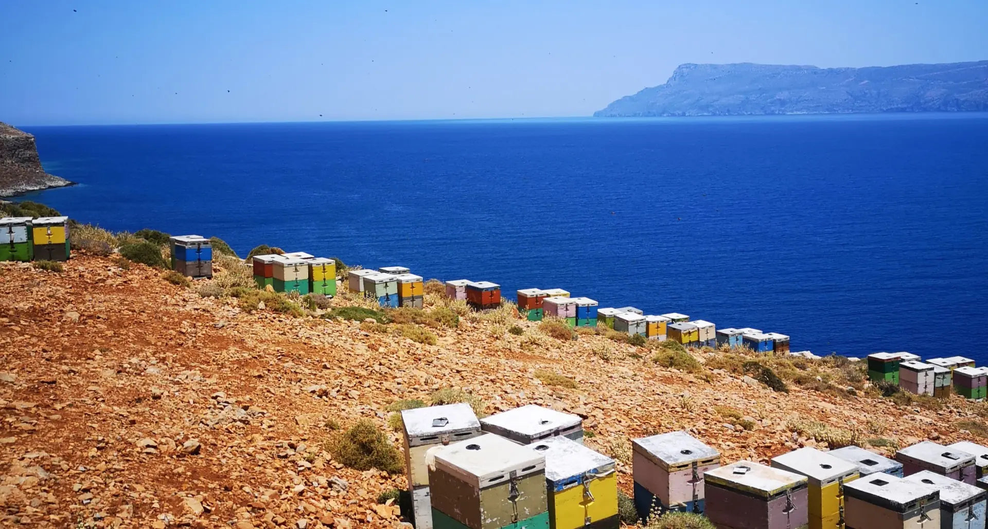 Arma Harbs open air Apiary on the Greek coastline